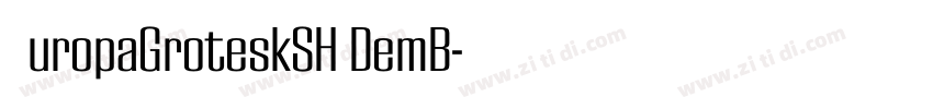 EuropaGroteskSH DemB字体转换